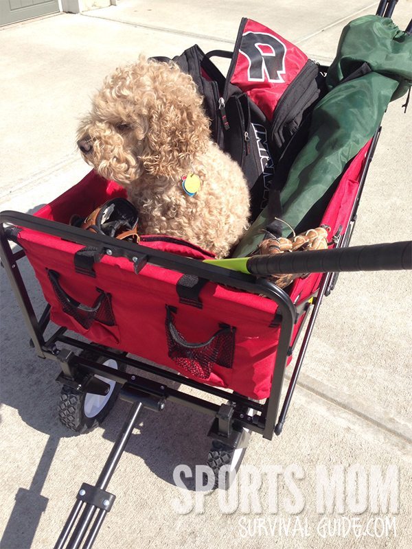 Folding Wagon: A Kid's Sport Necessity Folding Wagon: A Kid's Sport Necessity