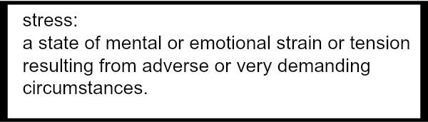 DEFINITION OF STRESS