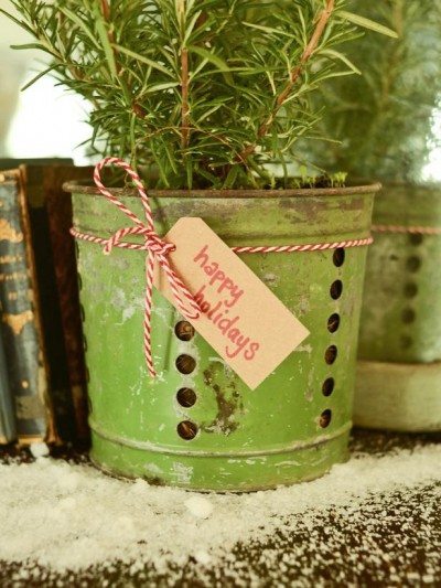 original_Marian-Parsons-Christmas-gift-wrap-vintage-potted-plant-vert_3x4_lg