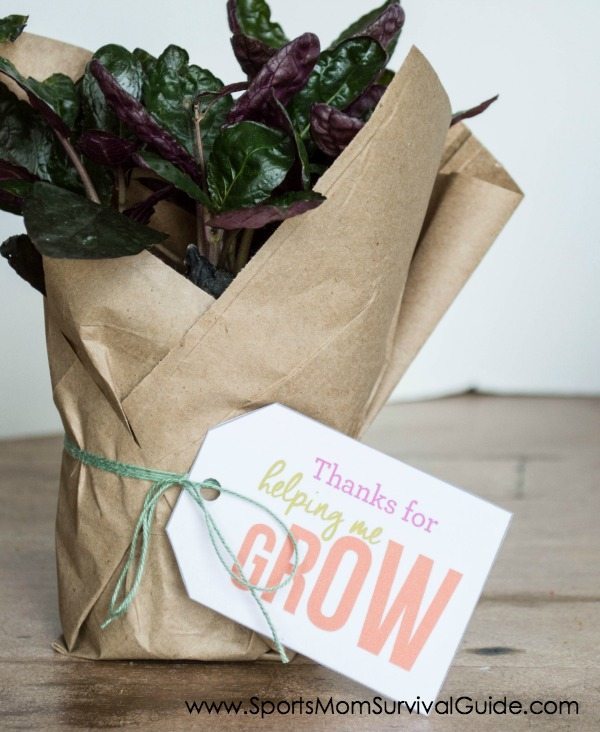 Let us help simplify teacher gifts this year! Check out our quick and easy teacher appreciation week gifts. Just purchase the gifts, print our FREE printable, and attach them to the gifts. Let us help simplify teacher gifts this year! Check out our quick and easy teacher appreciation week gifts. Just purchase the gifts, print our FREE printable, and attach them to the gifts.