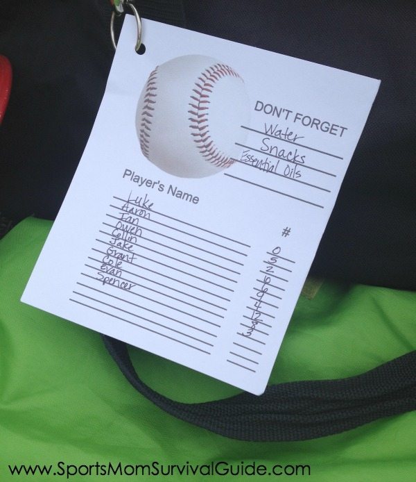 Baseball Survival Guide