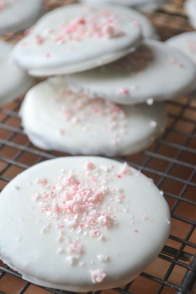 You find the perfect Christmas Cookie recipe to add to your list of family favorites with one of these 21 Festive & Easy Christmas Cookie Recipes.