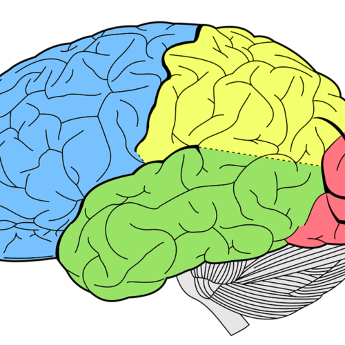 Long Term Risks Associated with Football Concussions