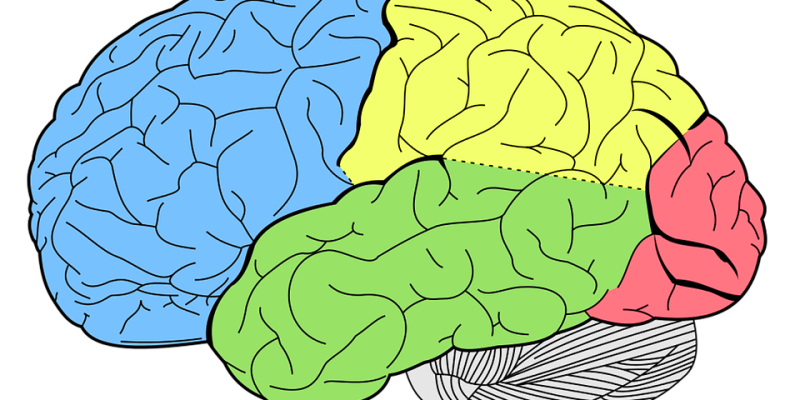 Long Term Risks Associated with Football Concussions