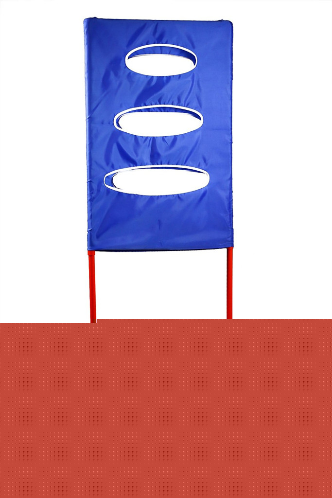 Ultimate Disc Toss Target