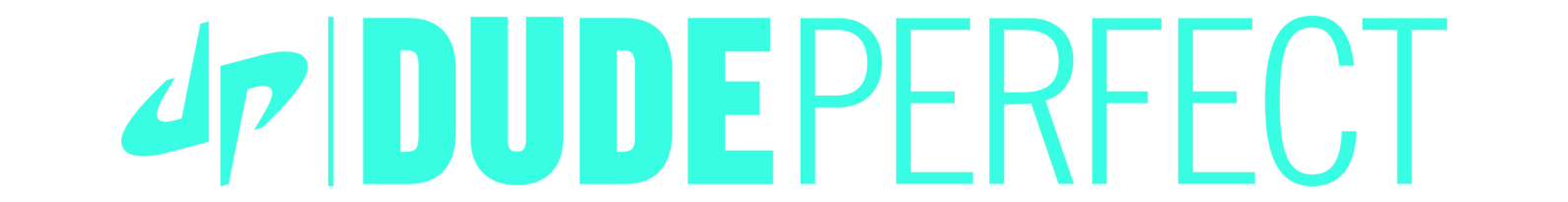 dude perfect youtube